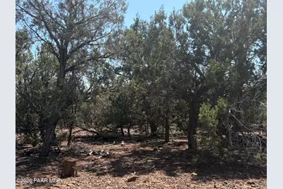 00 NE Nine Shooter Road, Williams, AZ 86046 - Photo 4