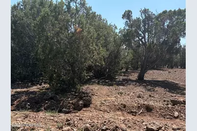 00 NE Nine Shooter Road, Williams, AZ 86046 - Photo 2