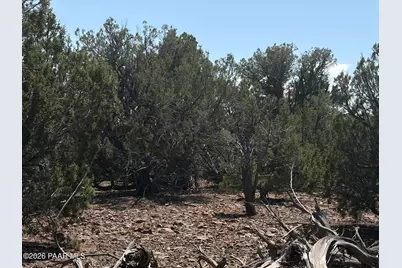 00 NE Nine Shooter Road, Williams, AZ 86046 - Photo 6