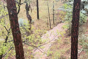 1928 Timber Point W, Prescott, AZ 86303 - Photo 38