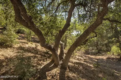 1177 Quiet Circle, Prescott, AZ 86303 - Photo 4