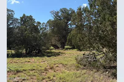57650 Hora Lane, Seligman, AZ 86337 - Photo 1