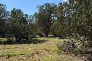 57650 Hora Ln, Seligman, AZ 86337 - Photo 1
