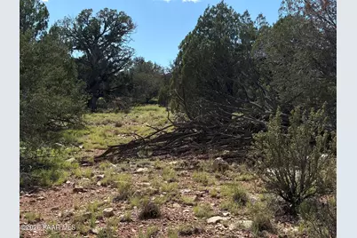 57650 Hora Lane, Seligman, AZ 86337 - Photo 6