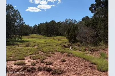 57650 Hora Lane, Seligman, AZ 86337 - Photo 4
