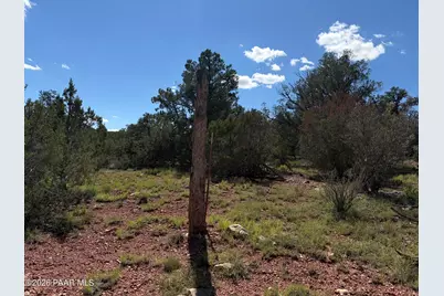 57650 Hora Lane, Seligman, AZ 86337 - Photo 8