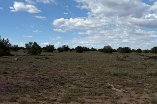59Se Rocky Rabbit Rd, Ash Fork, AZ 86320 - Photo 1