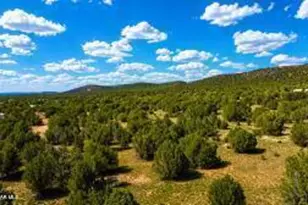 155 W Highland St, Williams, AZ 86046 - Photo 1