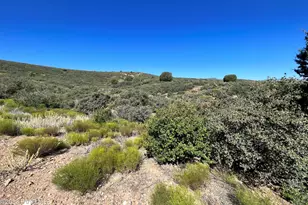 11360 S Primrose Ln, Mayer, AZ 86333 - Photo 50