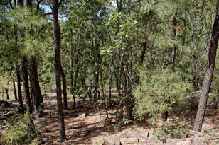 015&016 S Ponderosa Dr, Prescott, AZ 86303 - Photo 1
