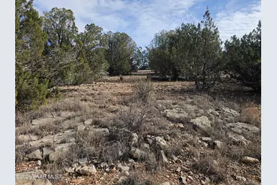 56056 N Bridge Canyon Parkway, Seligman, AZ 86337 - Photo 4