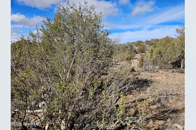 30022 W Amalia Road, Seligman, AZ 86337 - Photo 4