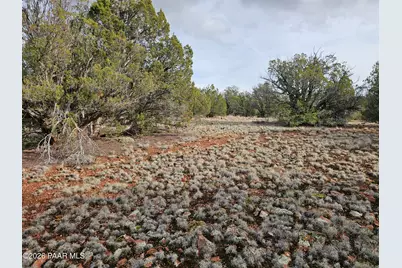 55644 N Potrero Parkway, Seligman, AZ 86337 - Photo 14
