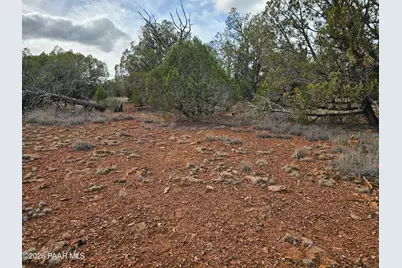55644 N Potrero Parkway, Seligman, AZ 86337 - Photo 6