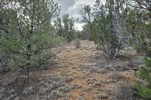 55644 N Potrero Pkwy, Seligman, AZ 86337 - Photo 1