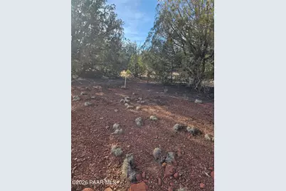 55644 N Potrero Parkway, Seligman, AZ 86337 - Photo 2