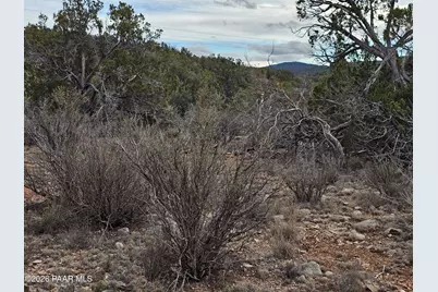 32667 W Conejo Road, Seligman, AZ 86337 - Photo 2