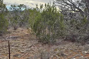 32667 W Conejo Rd, Seligman, AZ 86337 - Photo 1