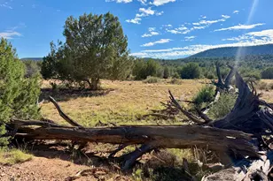 494Se N Nirvana Way, Ash Fork, AZ 86320 - Photo 1