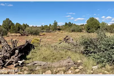 494Se N Nirvana Way, Ash Fork, AZ 86320 - Photo 2