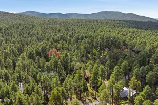 1505 E Friendly Pines Rd, Prescott, AZ 86303 - Photo 60