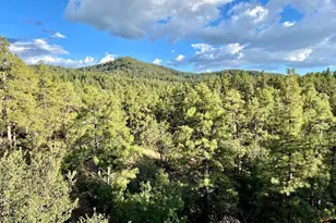 4695 S Jack Pne Rd, Prescott, AZ 86303 - Photo 64