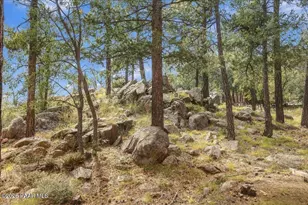 8250 S Snowdrift Mine Rd, Prescott, AZ 86303 - Photo 32