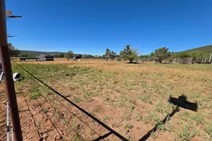 33425 W Cowboy Clint Way, Seligman, AZ 86337 - Photo 94