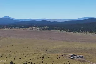 33425 W Cowboy Clint Way, Seligman, AZ 86337 - Photo 126