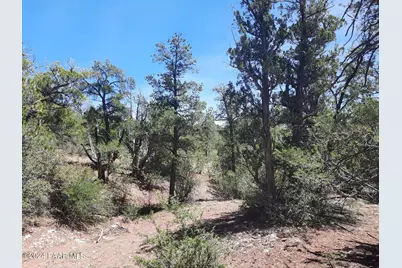 Lot 130 Forest Acres, Seligman, AZ 86337 - Photo 1