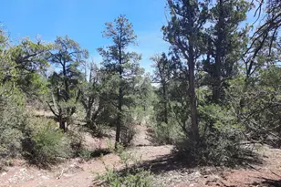 Lot 130 Forest Acres, Seligman, AZ 86337 - Photo 1