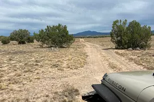 296 Off Of Lakota Ranch Rd, Ash Fork, AZ 86320 - Photo 1