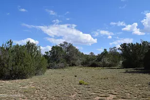 53570 Via De Oro Pkwy, Seligman, AZ 86337 - Photo 1