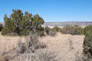 58573 N Calle Vaca, Seligman, AZ 86337 - Photo 1