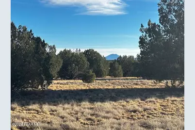 37916-D W Howling Coyote Road, Seligman, AZ 86337 - Photo 1