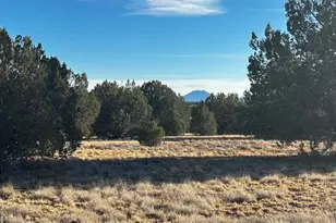 37916-D W Howling Coyote Rd, Seligman, AZ 86337 - Photo 1