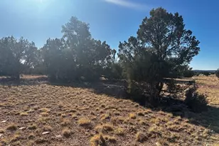 234Sw Brothers Rd, Seligman, AZ 86337 - Photo 1