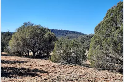 Lot 74 Forest Acres, Seligman, AZ 86337 - Photo 1