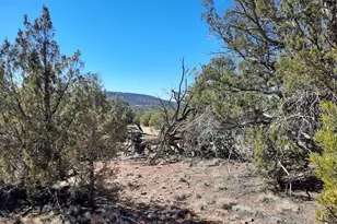 Lot 78 W Circle Dr, Seligman, AZ 86337 - Photo 1