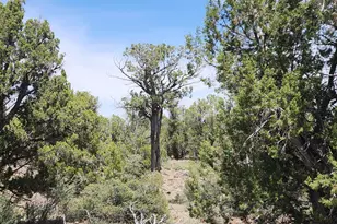 7980B Ancient Way, Seligman, AZ 86337 - Photo 1