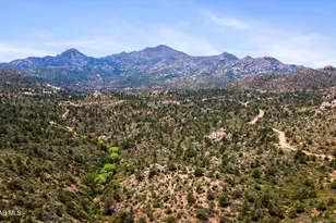 Xxxx W Appaloosa Trail, Peeples Valley, AZ 86332 - Photo 1