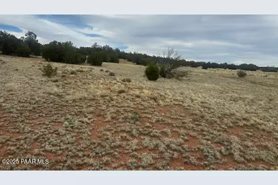 Lot 382Sw Gable Road, Seligman, AZ 86337 - Photo 1