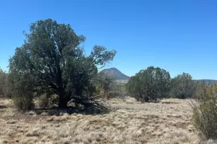 10 N2 Off Of Looking Glass, Ash Fork, AZ 86320 - Photo 1