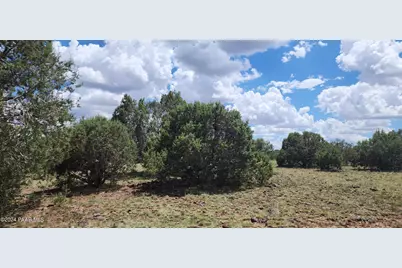 687-B Medicine Man Trail, Seligman, AZ 86337 - Photo 1