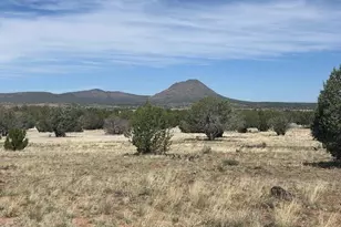 Lot 43Se Tides Trail, Ash Fork, AZ 86320 - Photo 1