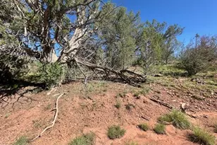 Lot 122 W Ridge, Seligman, AZ 86337 - Photo 1