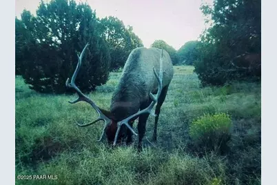9860 Cortez Ranch Road, Williams, AZ 86320 - Photo 1