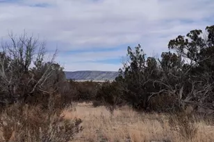 4719 W Calle Ines, Seligman, AZ 86337 - Photo 1