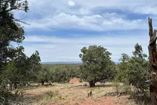 488 B&c Scorpion, Ash Fork, AZ 86320 - Photo 1