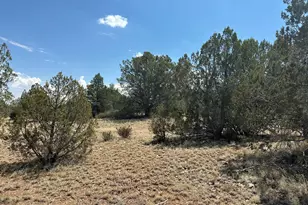 806 Rocky Ridge, Peach Springs, AZ 86434 - Photo 1